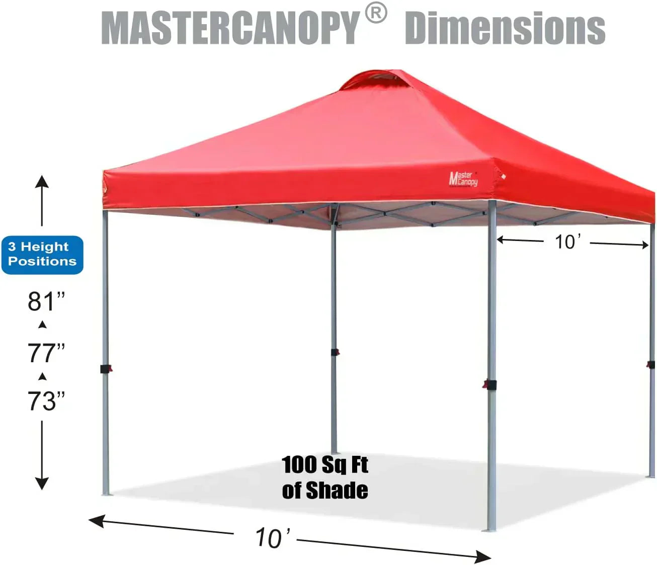 Durable Pop-up Canopy Tent with Roller Bag (10x10 Black)
