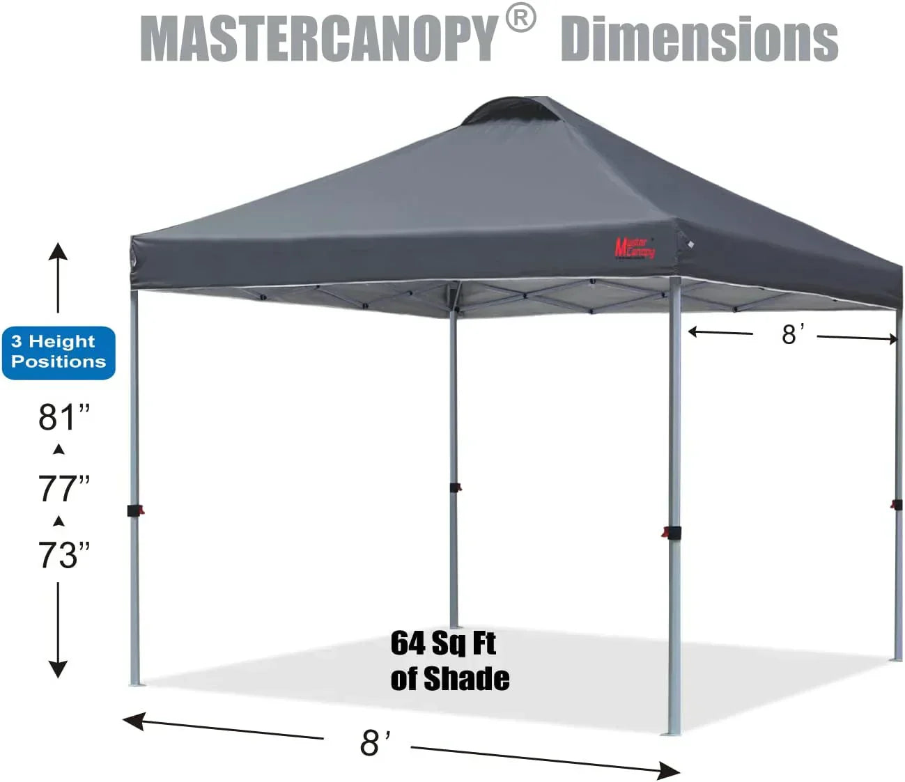 Durable Pop-up Canopy Tent with Roller Bag (10x10 Black)