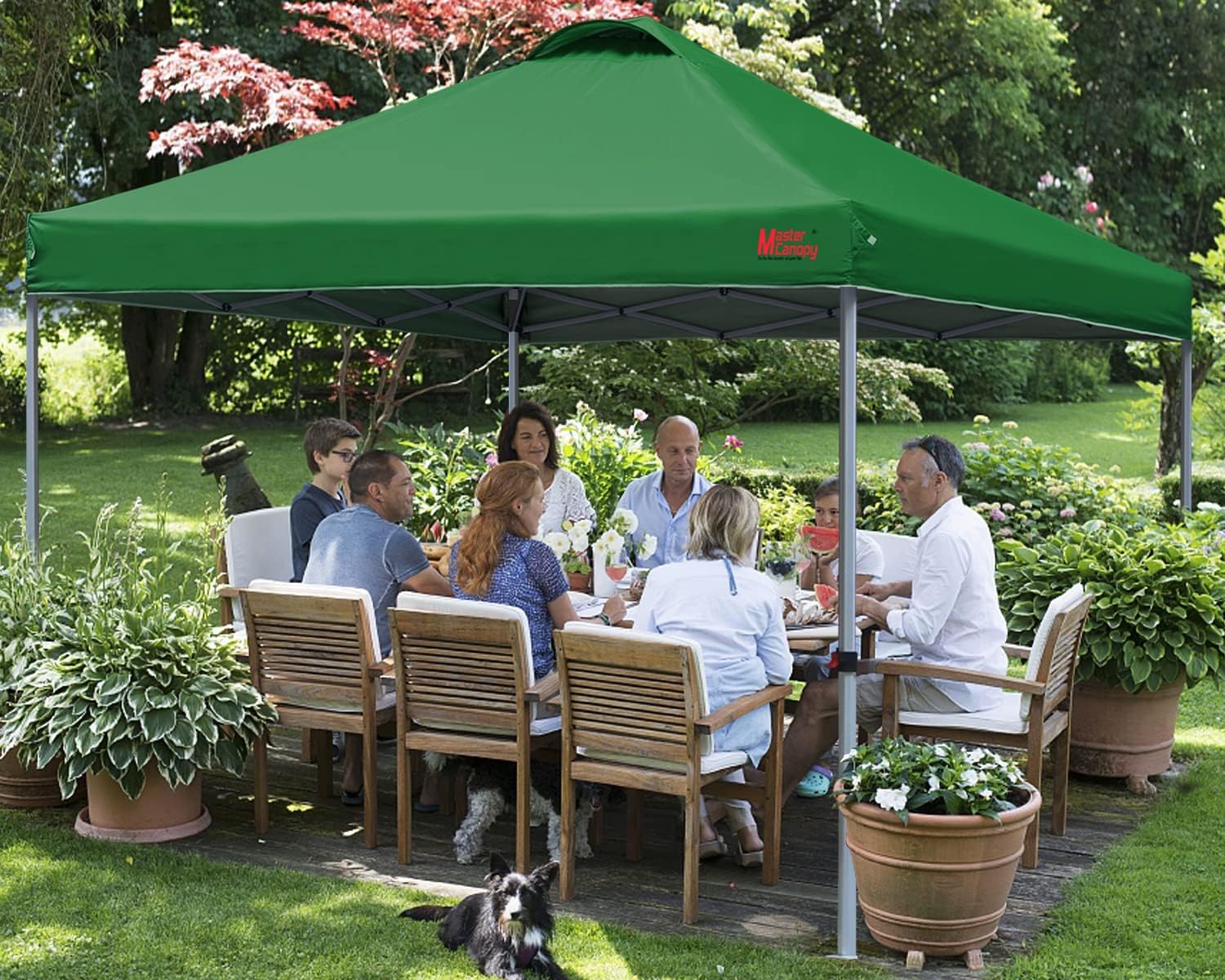 Durable Pop-up Canopy Tent with Roller Bag (10x10 Black)