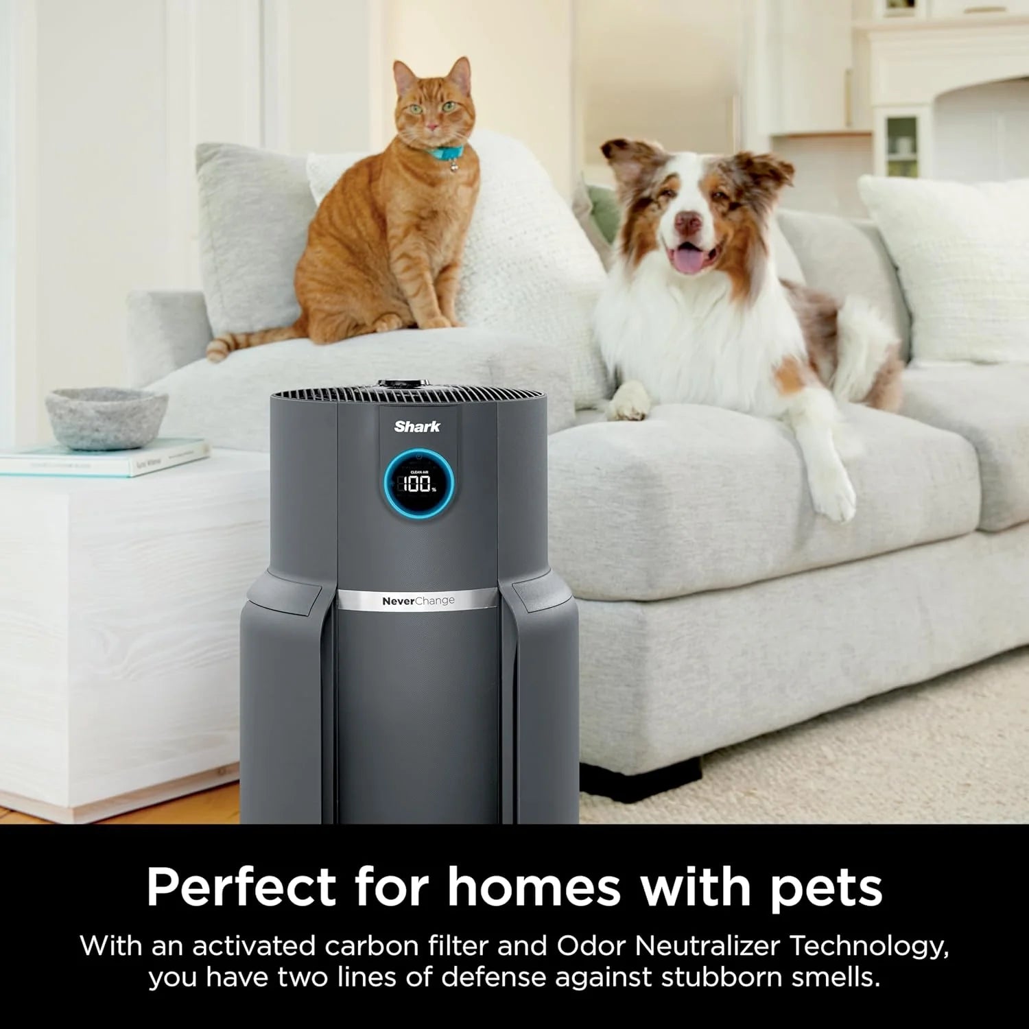 Air Purifier Compact Pro with Long-lasting HEPA Exceeding Filtration, For Pet Dander, Dust, Smoke, Allergens, Up to 250 sq. ft.