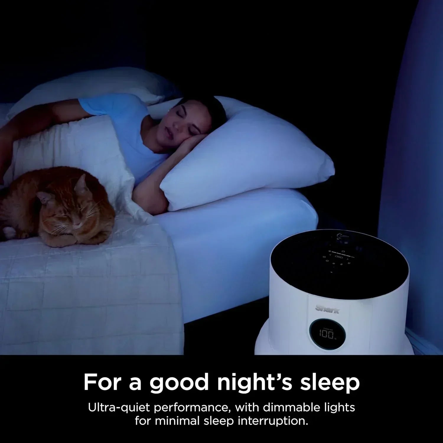Air Purifier Compact Pro with Long-lasting HEPA Exceeding Filtration For Pet Dander Dust Smoke
