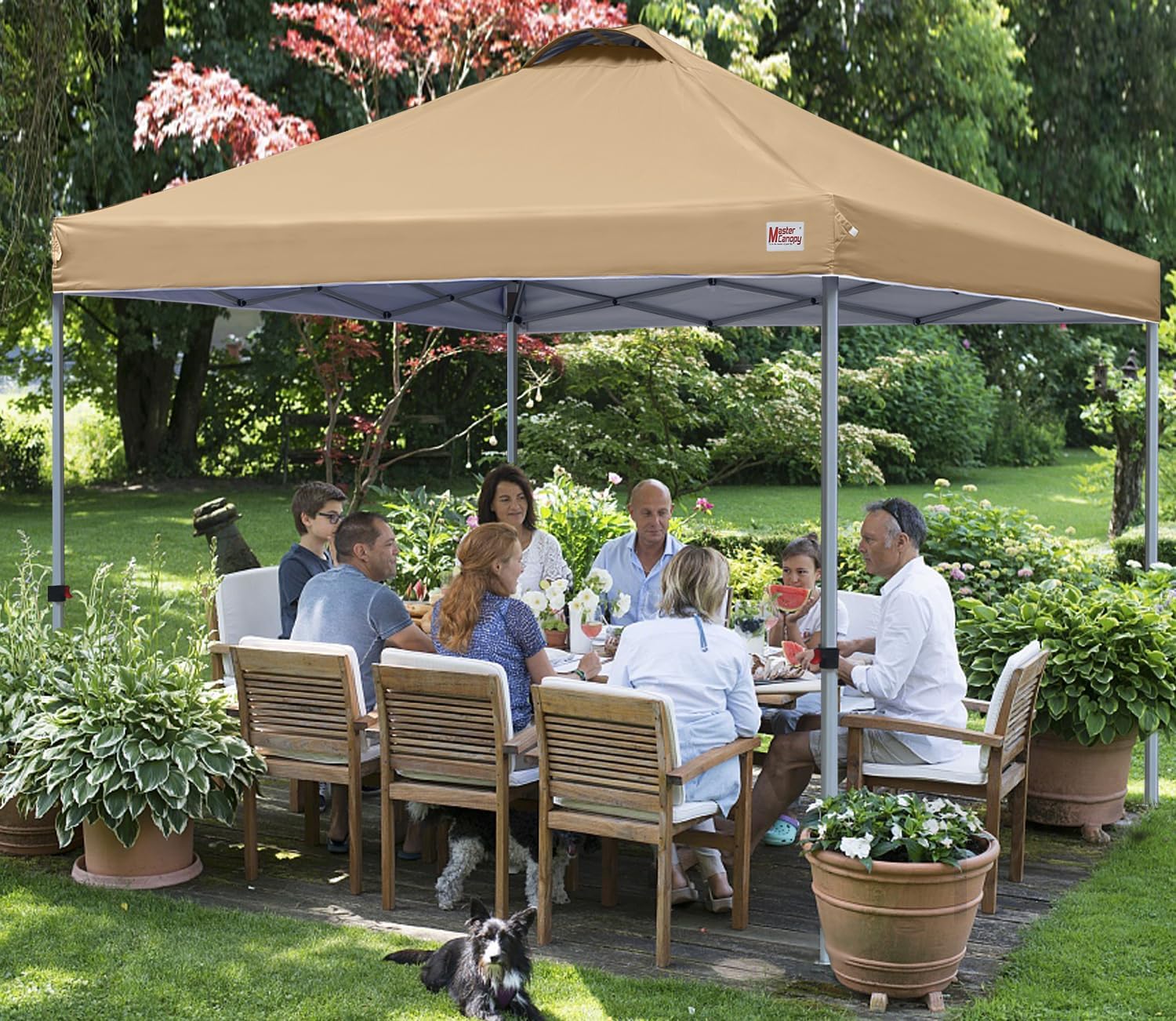 Durable Pop-up Canopy Tent with Roller Bag (10x10 Black)