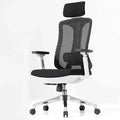 Ergonomic Desk Office Chair High Back Mesh Computer Chair with 3D Armrest