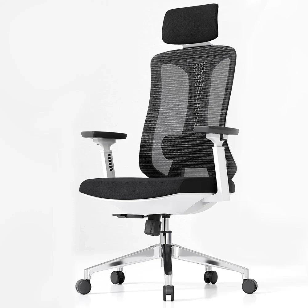 Ergonomic Desk Office Chair High Back Mesh Computer Chair with 3D Armrest