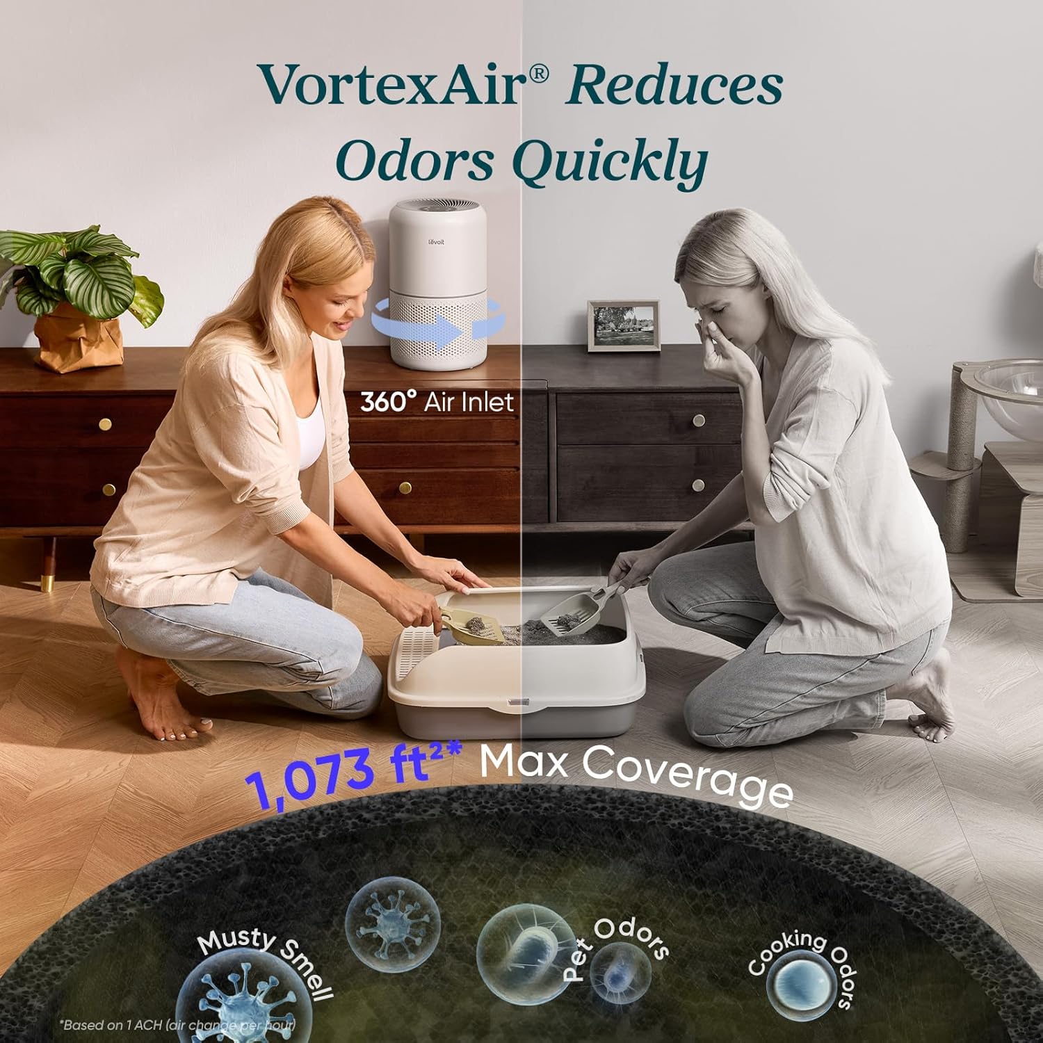 Air Purifier for Bedroom Allergies and Pet Hair 56W High Torque Motor