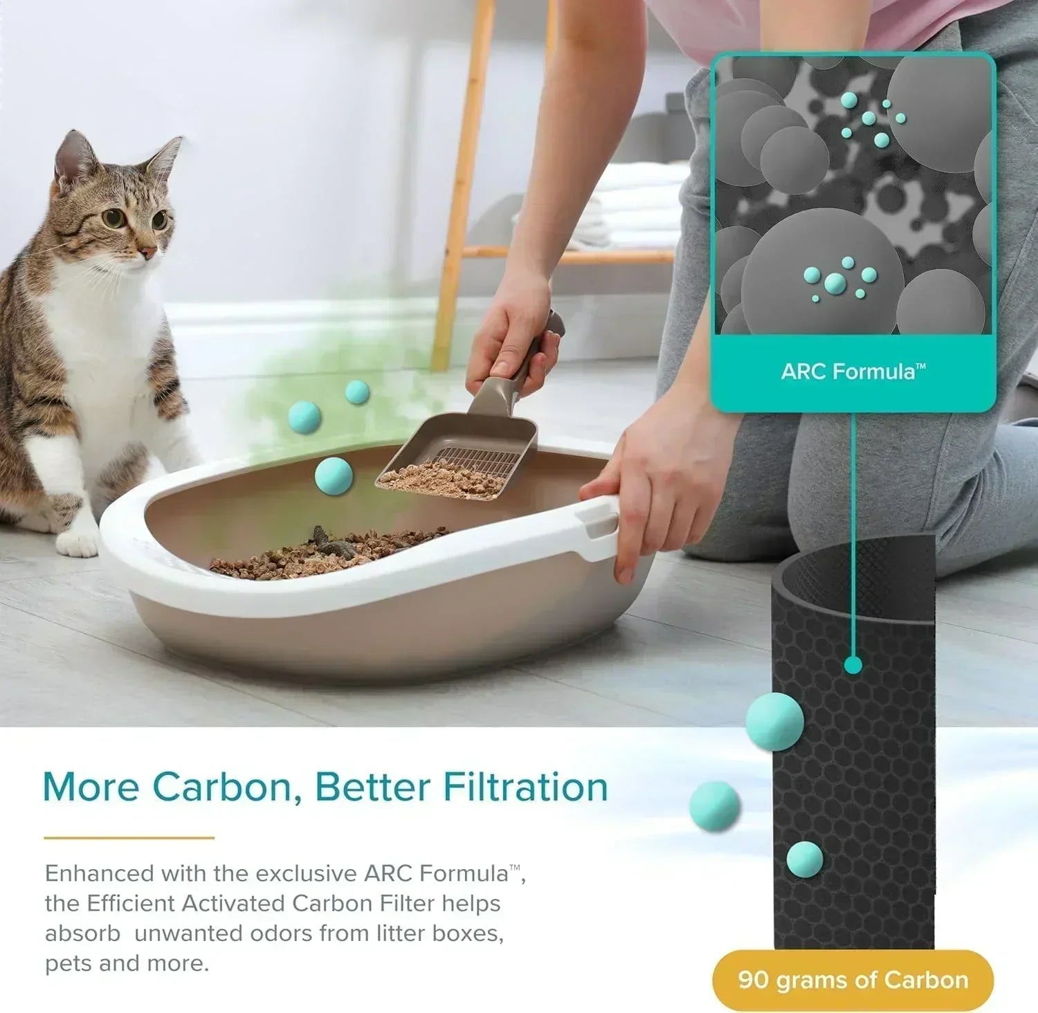 Air Purifier for Bedroom Allergies and Pet Hair 56W High Torque Motor