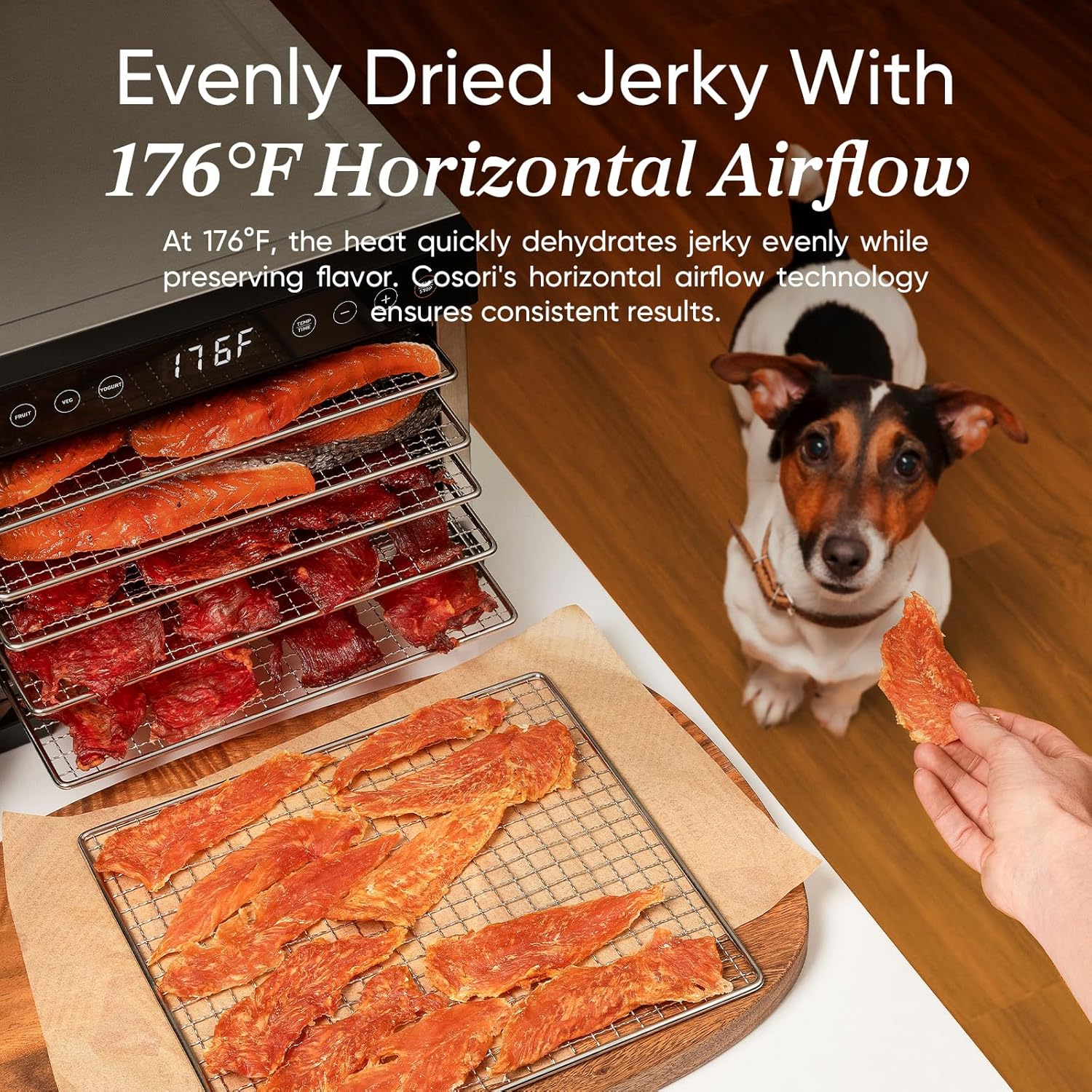 COSORI Food Dehydrator Bigger Than 7 Trays With Large 6.5 Drying Space 600W Power