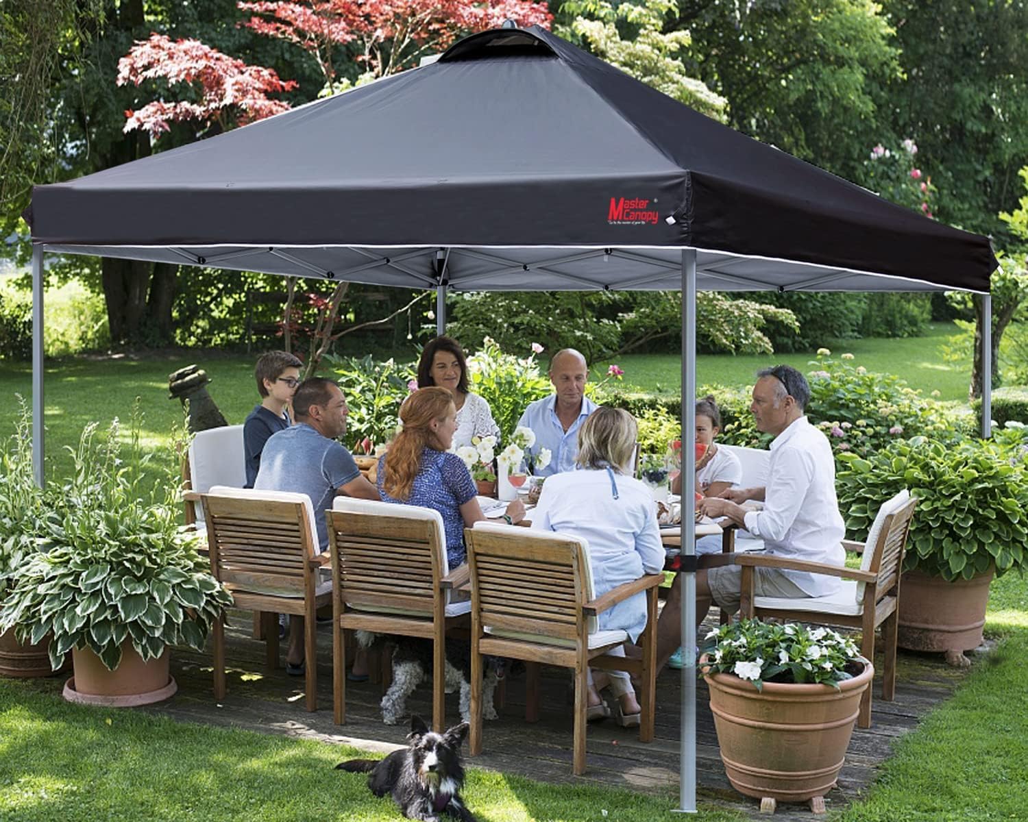 Durable Pop-up Canopy Tent with Roller Bag (10x10 Black)