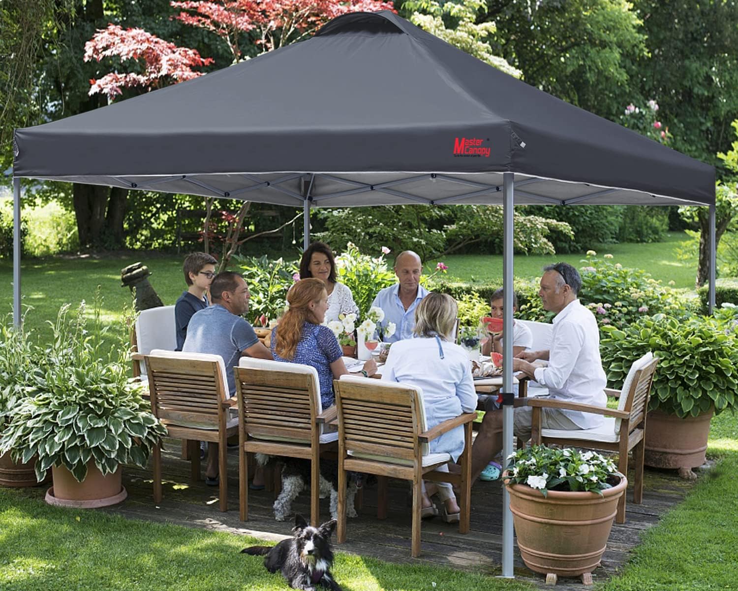 Durable Pop-up Canopy Tent with Roller Bag (10x10 Black)