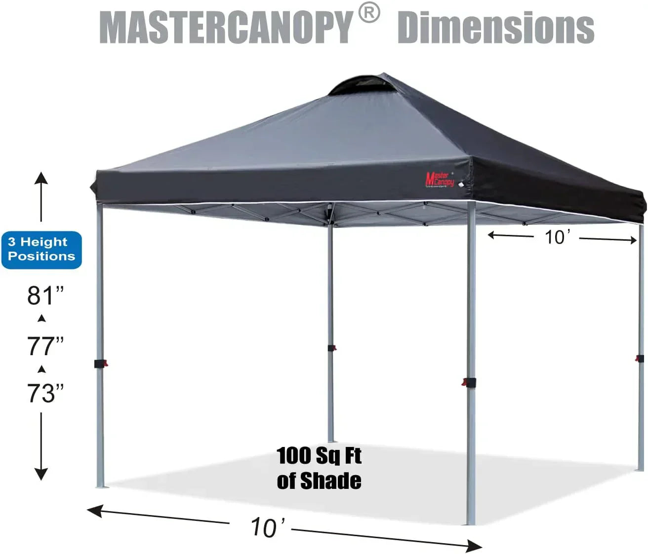 Durable Pop-up Canopy Tent with Roller Bag (10x10 Black)