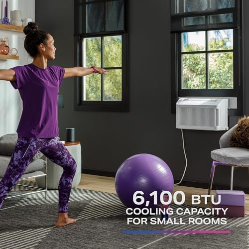 PHNT10CC Clearview Air Conditioner 10,300, Inverter Technology, Ultra Quiet, Medium Rooms up to 450 Sq. FT, Full Window View with Easy Installation, Energy-Efficient Cooling, 10300 BTU, White