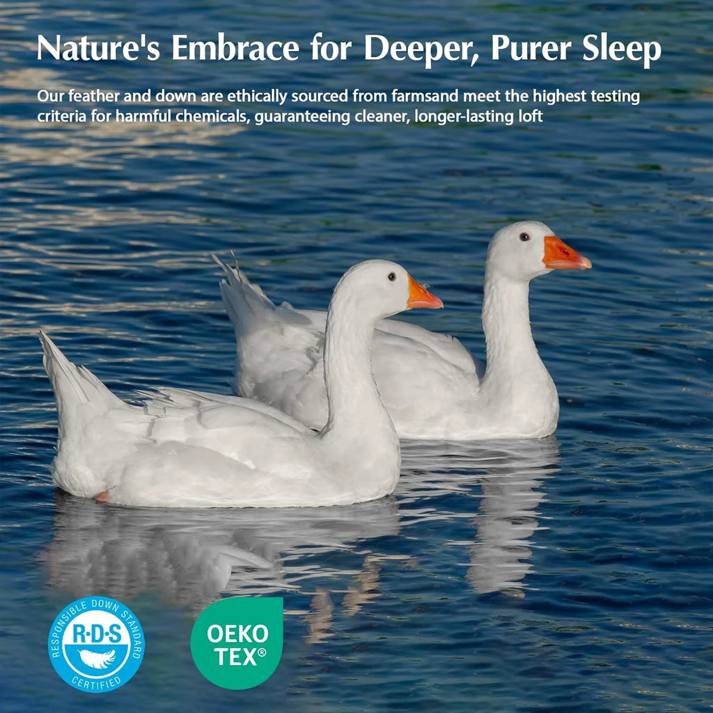 PACIFIC COAST Goose Feather Down Comforters Queen Size, 100% Cotton Extra Fluffy White Duvet Insert, Soft, Breathable, All Season Hotel Luxury Bedding Comforters, 8 Corner & Center Loops (90x90)