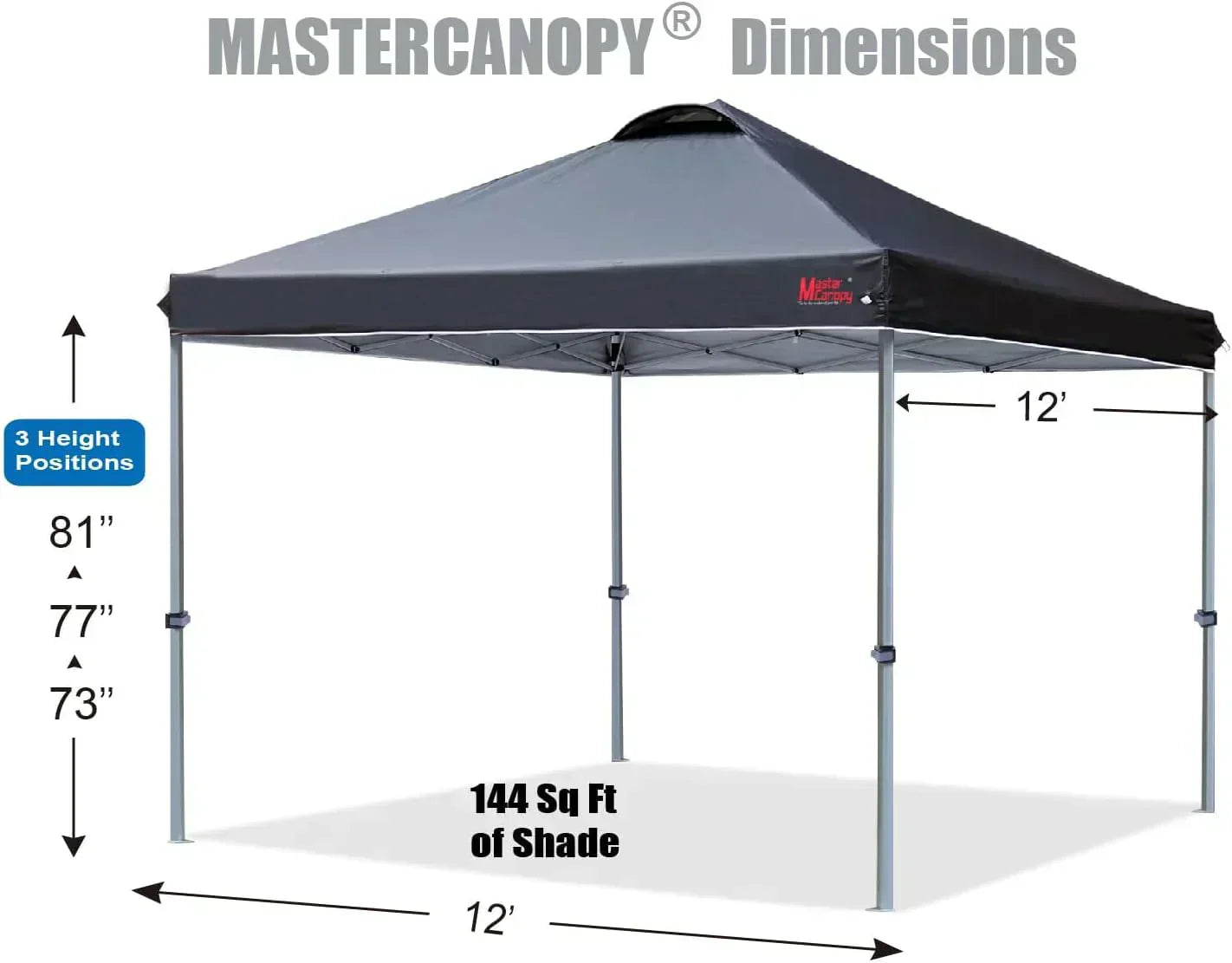Durable Pop-up Canopy Tent with Roller Bag (10x10 Black)