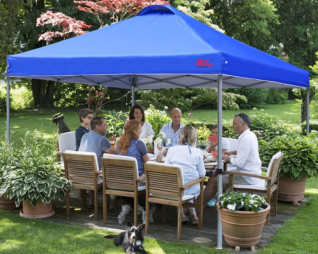 Durable Pop-up Canopy Tent with Roller Bag (10x10 Black)