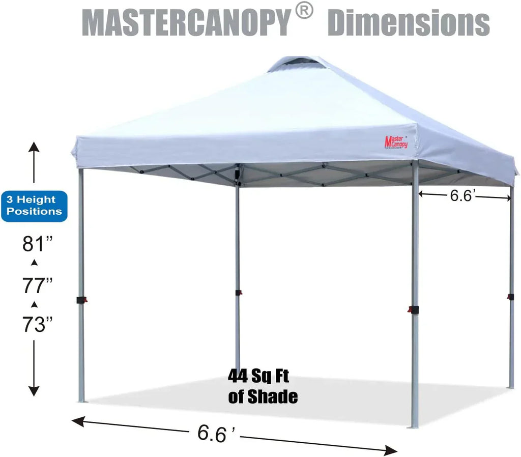 Durable Pop-up Canopy Tent with Roller Bag (10x10 Black)