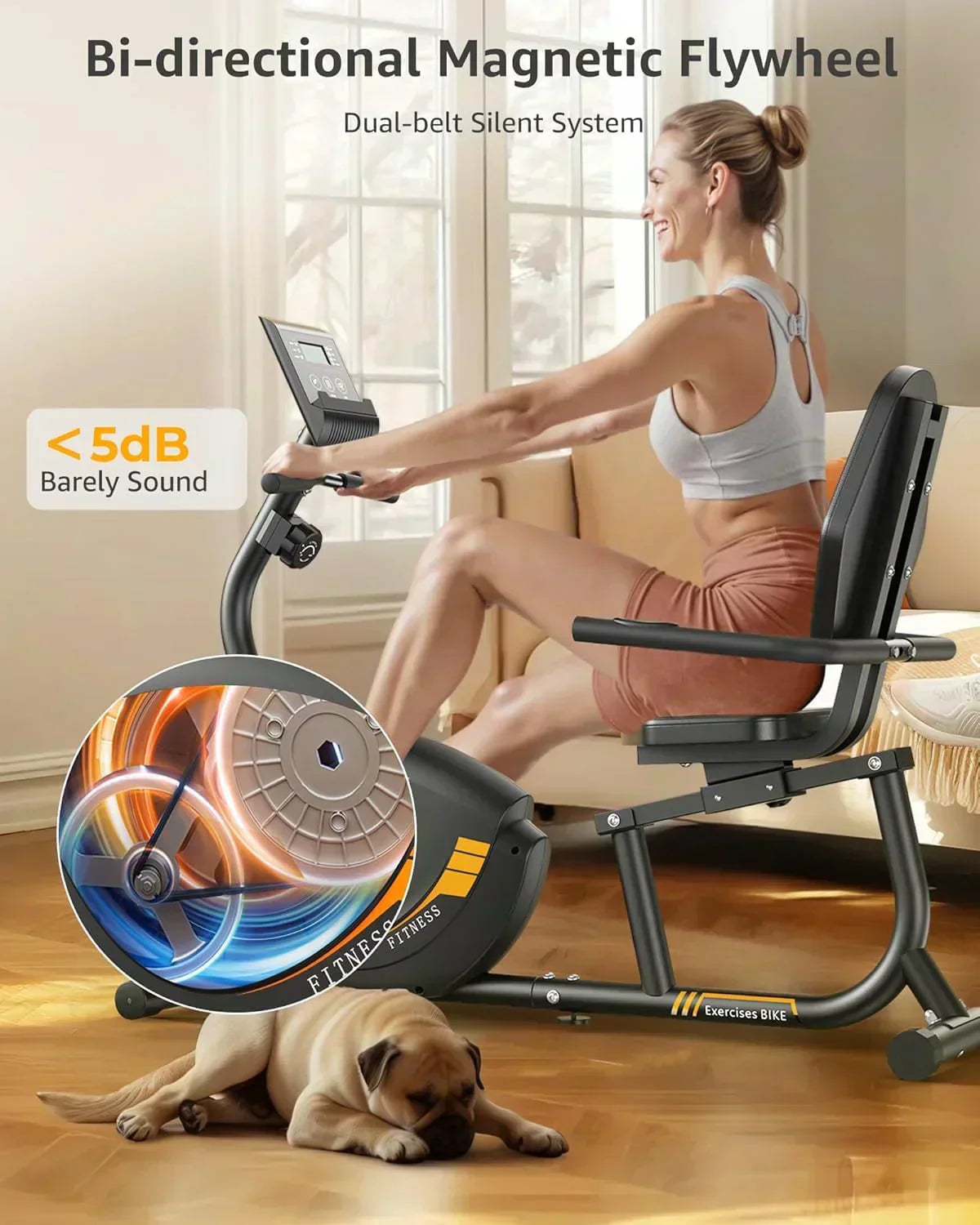 JEEKEE Recumbent Exercise Bike for Adults Seniors Indoor Magnetic Cycling Fitness Equipment
