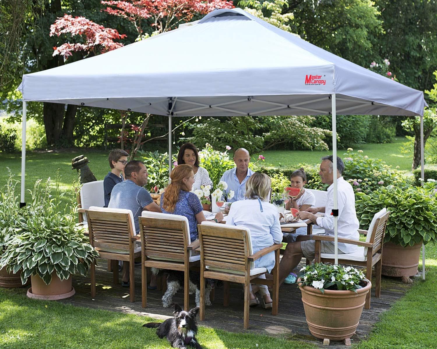 Durable Pop-up Canopy Tent with Roller Bag (10x10 Black)