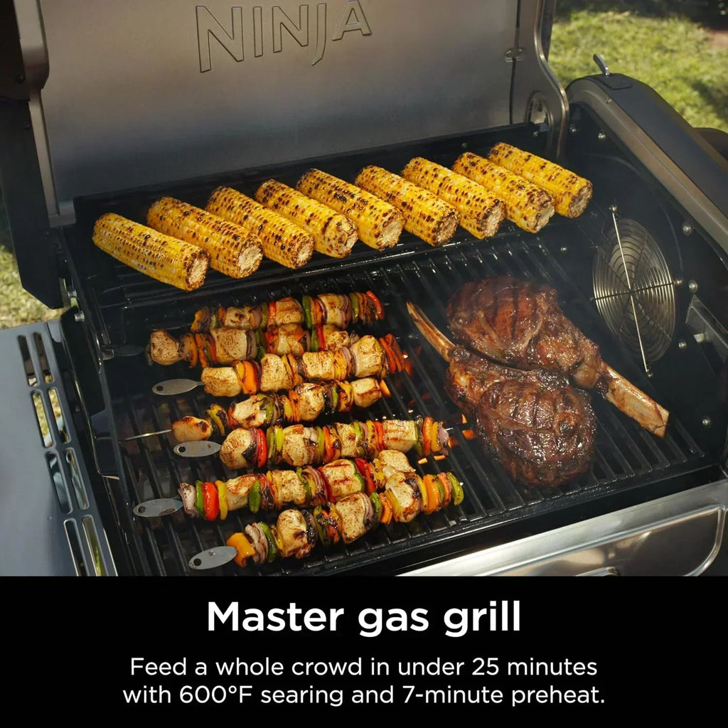 Ninja FlexFlame Grill and Smoker Electric Propane Grill Roaster BBQ Grill 5-in-1 Cooking System