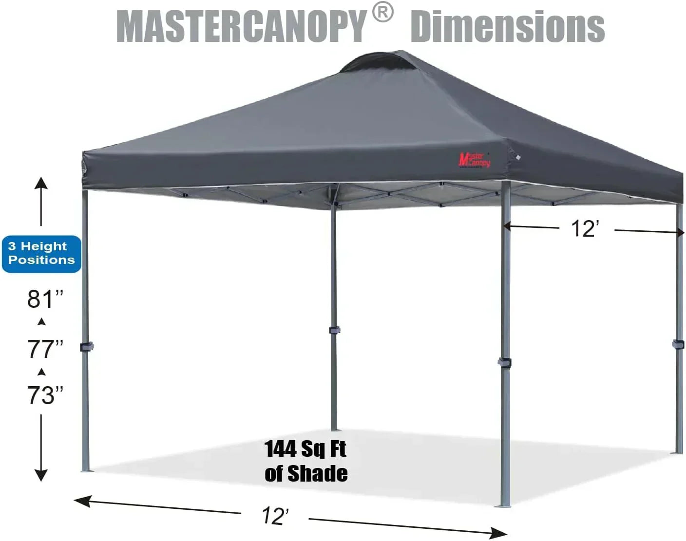Durable Pop-up Canopy Tent with Roller Bag (10x10 Black)