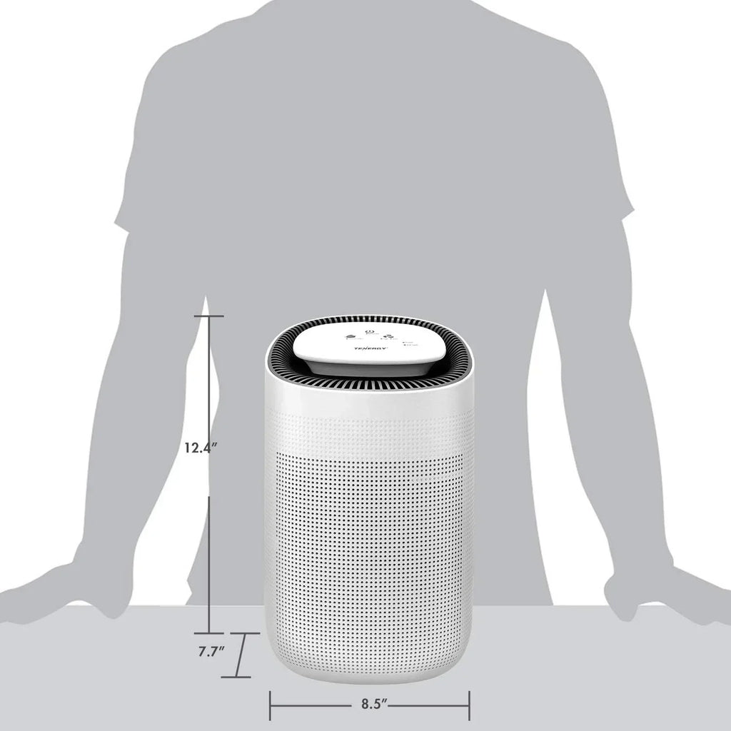 Sorbi 1000ml Air Dehumidifier Purifying Function True HEPA Filter Touch Control Air Speed