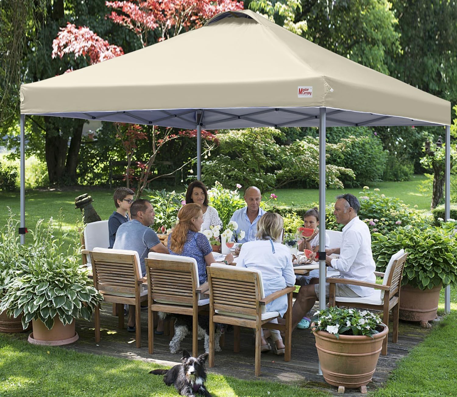 Durable Pop-up Canopy Tent with Roller Bag (10x10 Black)