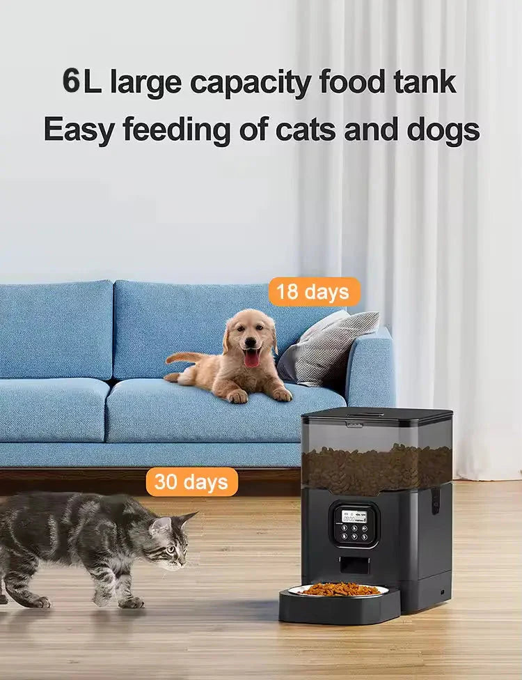 Automatic Cat Feeder 6L Stainless Steel Bowl Timed Dry Food Dispenser with Voice Recorder and LCD Display