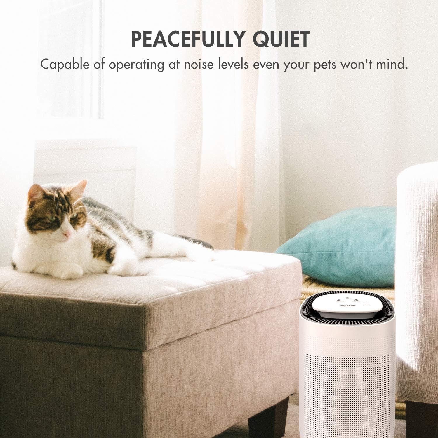 Sorbi 1000ml Air Dehumidifier Purifying Function True HEPA Filter Touch Control Air Speed