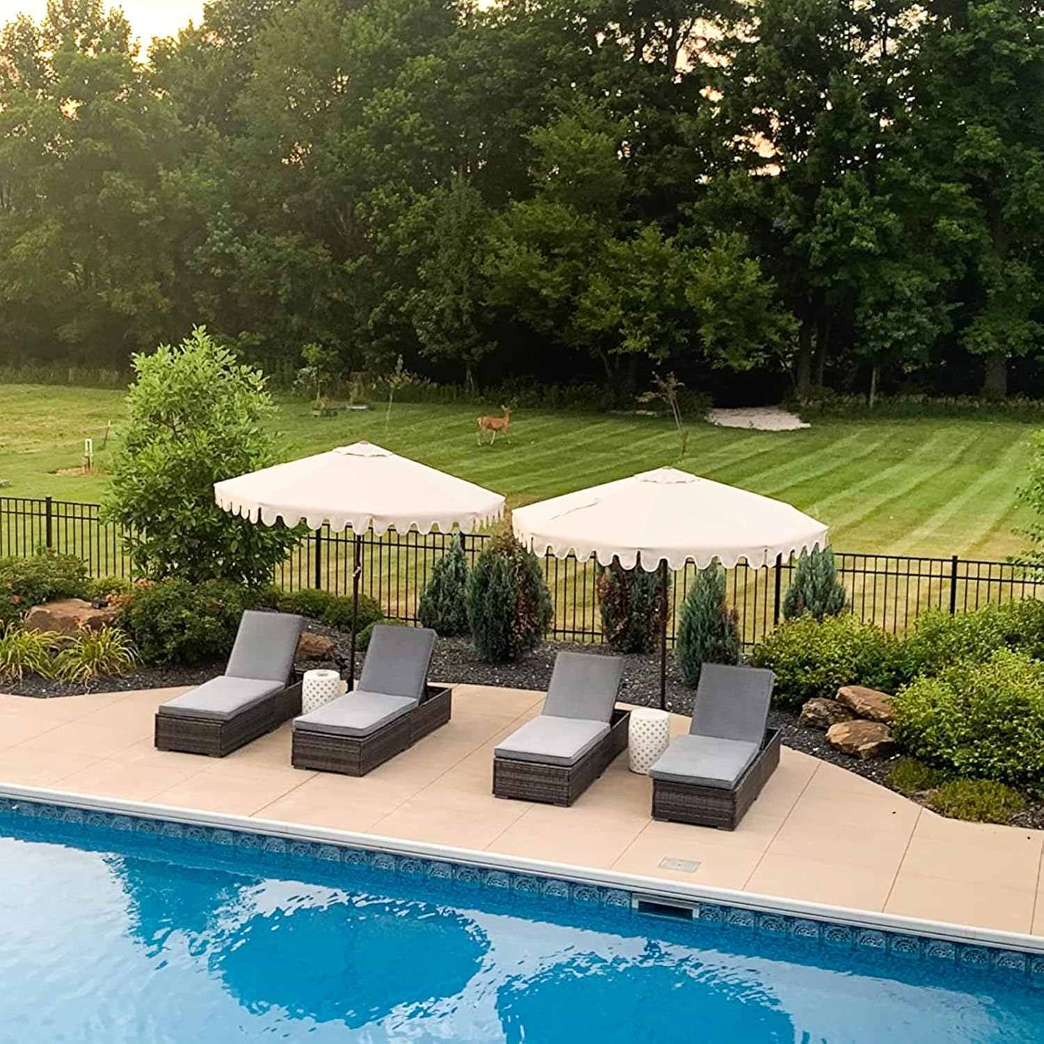 Patiorama Outdoor Patio Lounge Chair Elegant Reclining Adjustable Pool Rattan Chaise Chair