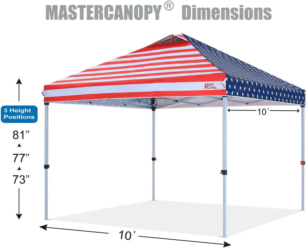 Durable Pop-up Canopy Tent with Roller Bag (10x10 Black)