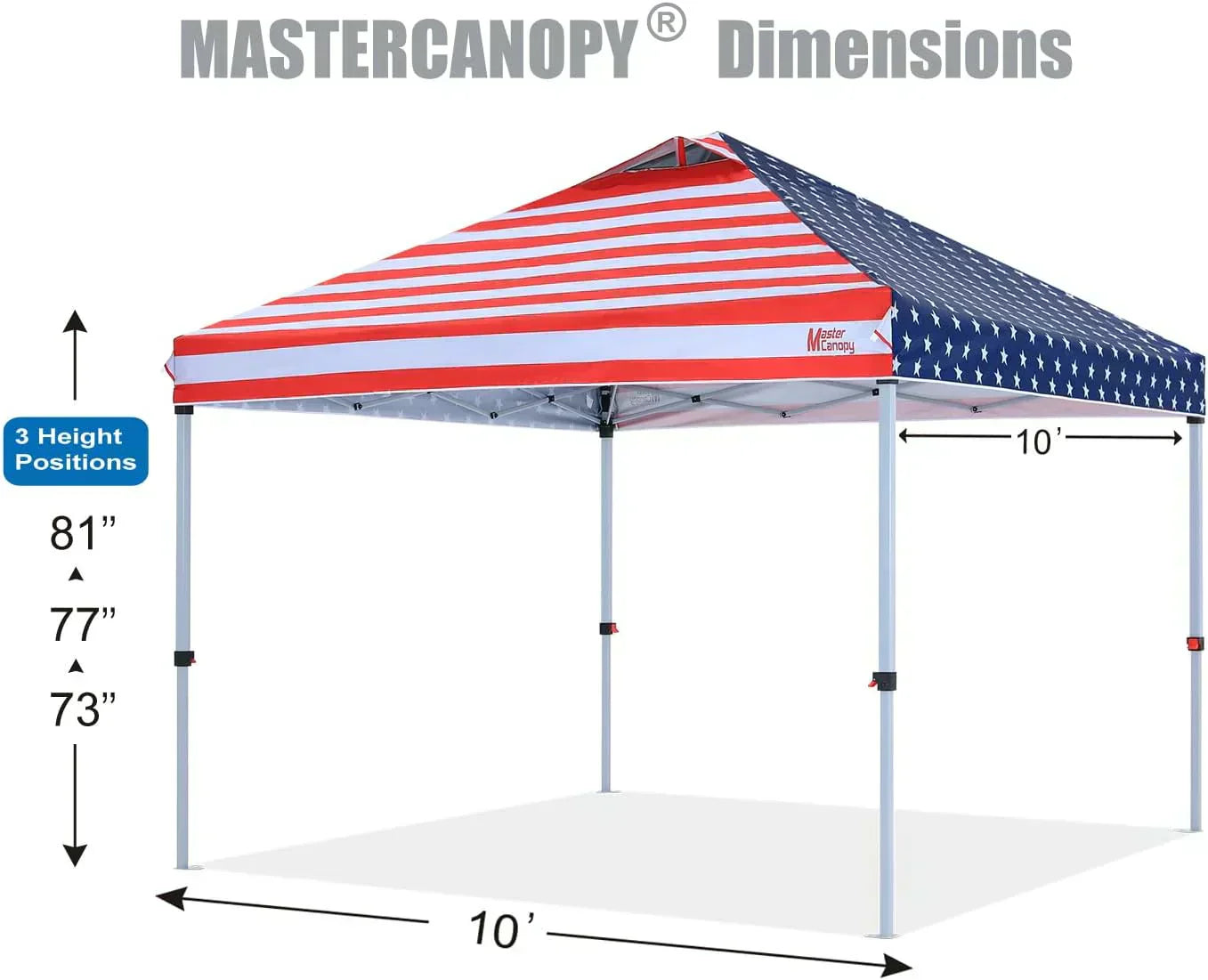Durable Pop-up Canopy Tent with Roller Bag (10x10 Black)