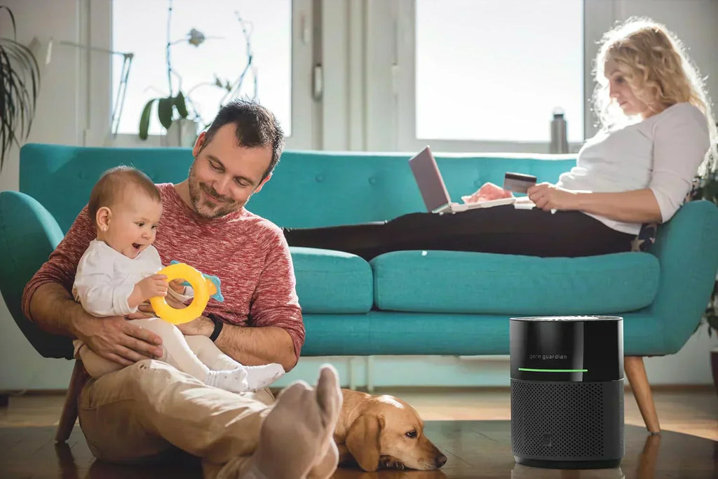 Air Purifier for Home for Wildfire Smoke Pets Pollen Odor Large Rooms Up To 1043 Sq. Ft