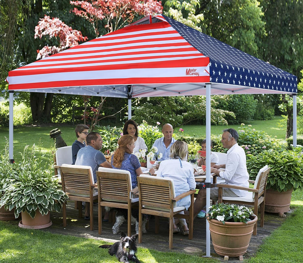Durable Pop-up Canopy Tent with Roller Bag (10x10 Black)