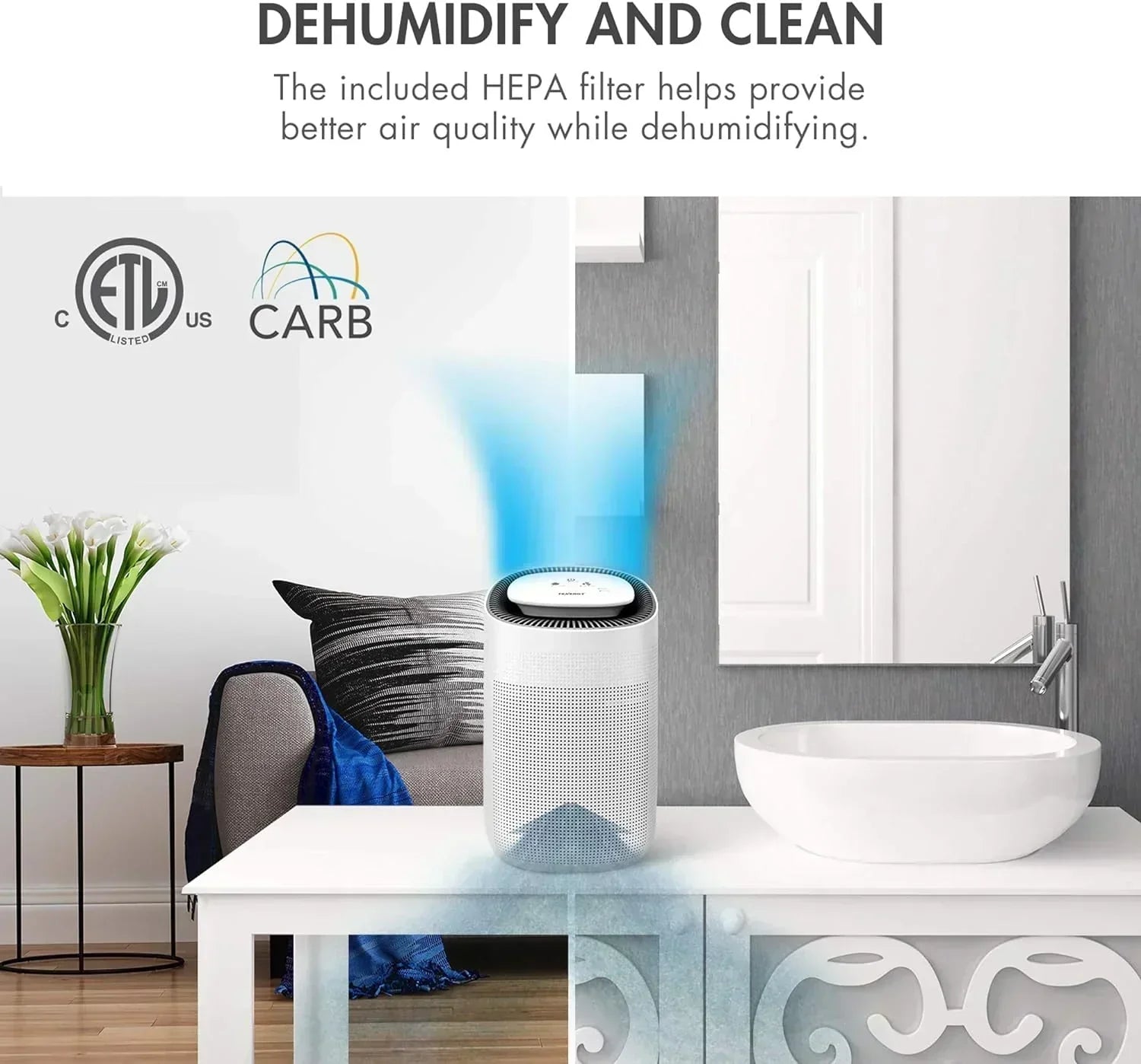 Sorbi 1000ml Air Dehumidifier Purifying Function True HEPA Filter Touch Control Air Speed