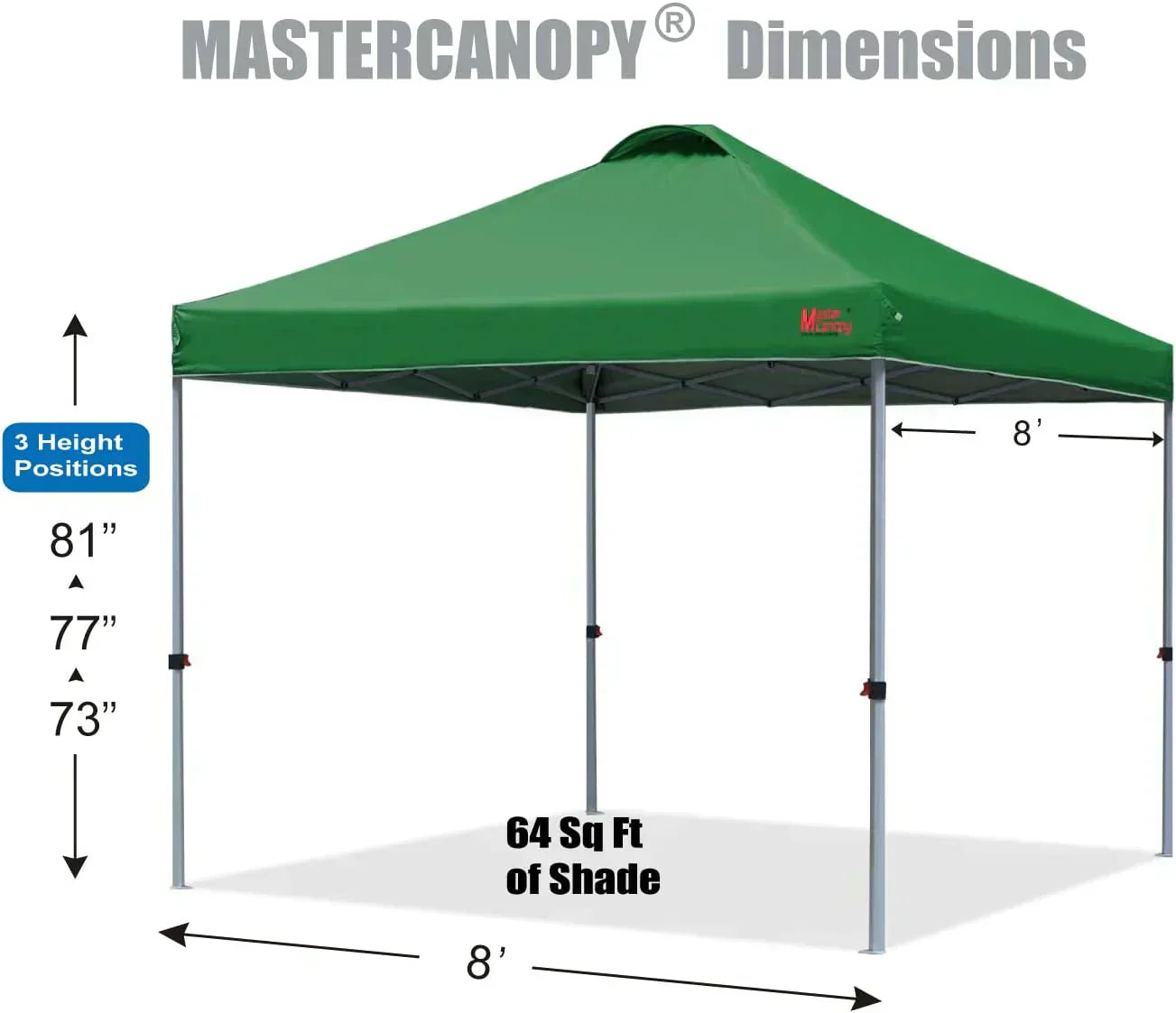 Durable Pop-up Canopy Tent with Roller Bag (10x10 Black)