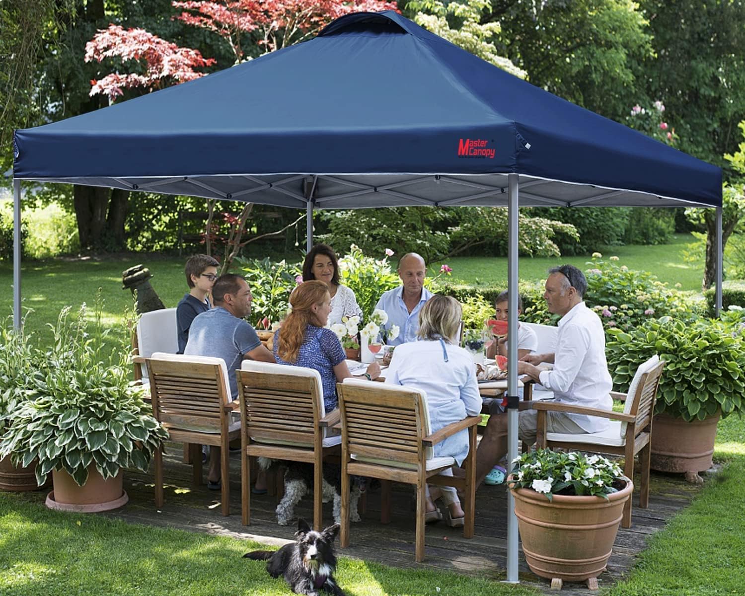 Durable Pop-up Canopy Tent with Roller Bag (10x10 Black)