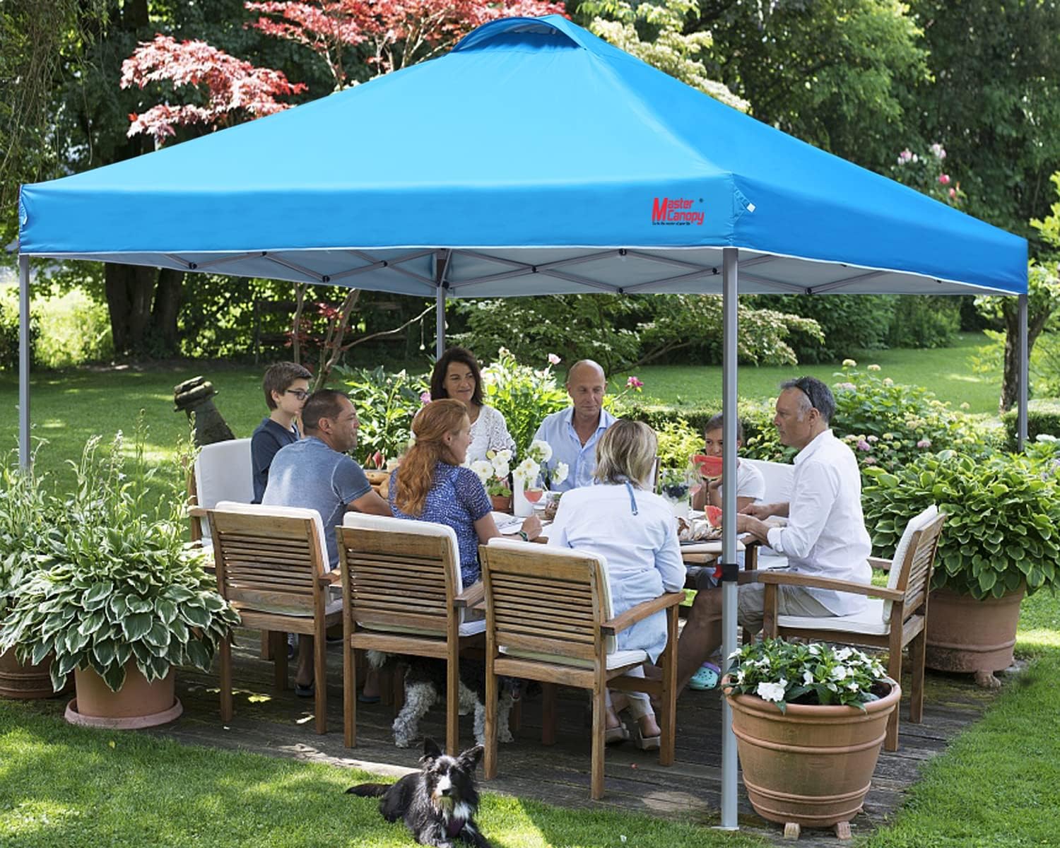 Durable Pop-up Canopy Tent with Roller Bag (10x10 Black)